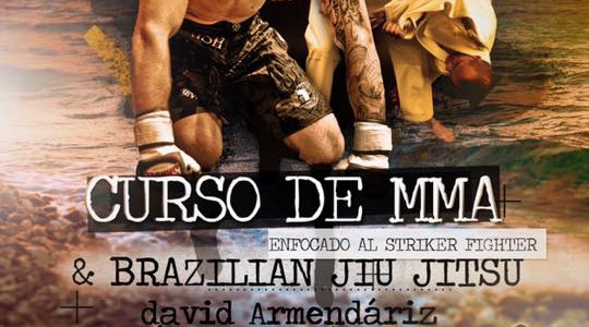 Curso MMA & BJJ  Torre del Mar